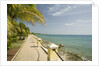 Waterfront Path on Beach by Anonymous