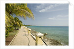 Waterfront Path on Beach by Anonymous