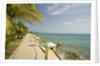 Waterfront Path on Beach by Anonymous