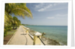 Waterfront Path on Beach by Anonymous