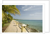 Waterfront Path on Beach by Anonymous