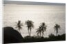 Virgin Gorda, British Virgin Islands by Anonymous