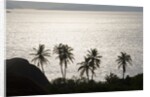Virgin Gorda, British Virgin Islands by Anonymous