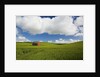 Old Red Barn in Spring Wheat Fields by Anonymous