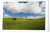 Old Red Barn in Spring Wheat Fields by Anonymous