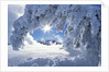 Snowy Landscape in Yellowstone by Anonymous