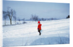 Germany - Bielefeld - 1960's child plays in snow by Anonymous