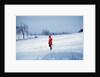 Germany - Bielefeld - 1960's child plays in snow by Anonymous