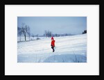 Germany - Bielefeld - 1960's child plays in snow by Anonymous