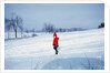 Germany - Bielefeld - 1960's child plays in snow by Anonymous