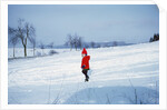 Germany - Bielefeld - 1960's child plays in snow by Anonymous