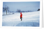 Germany - Bielefeld - 1960's child plays in snow by Anonymous