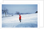 Germany - Bielefeld - 1960's child plays in snow by Anonymous