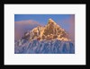 Mount Sabatier and Graae Glacier on South Georgia Island by Anonymous