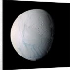 Enceladus by Anonymous