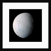 Enceladus by Anonymous