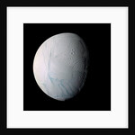 Enceladus by Anonymous