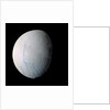 Enceladus by Anonymous