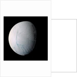 Enceladus by Anonymous