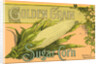 Golden Grain Sugar Corn Product Label by Anonymous