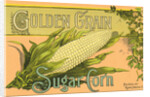 Golden Grain Sugar Corn Product Label by Anonymous