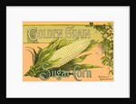 Golden Grain Sugar Corn Product Label by Anonymous