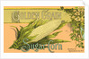 Golden Grain Sugar Corn Product Label by Anonymous