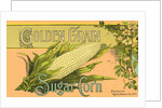 Golden Grain Sugar Corn Product Label by Anonymous