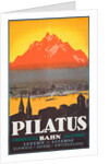 Pilatus Poster by Anonymous