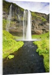 Seljalandsfoss Waterfall by Anonymous