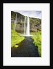 Seljalandsfoss Waterfall by Anonymous