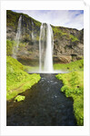 Seljalandsfoss Waterfall by Anonymous