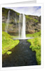 Seljalandsfoss Waterfall by Anonymous