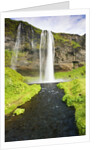 Seljalandsfoss Waterfall by Anonymous