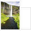 Seljalandsfoss Waterfall by Anonymous