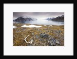 Reindeer Antler and Tinayra Bukta by Anonymous