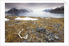 Reindeer Antler and Tinayra Bukta by Anonymous