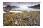 Reindeer Antler and Tinayra Bukta by Anonymous