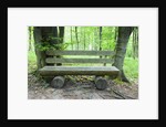 Log Bench in Beech Forest by Anonymous