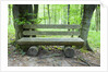 Log Bench in Beech Forest by Anonymous