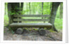 Log Bench in Beech Forest by Anonymous