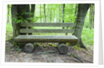 Log Bench in Beech Forest by Anonymous