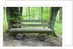 Log Bench in Beech Forest by Anonymous