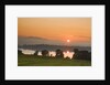 Sunset on Lake Staffelsee by Anonymous