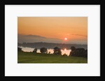 Sunset on Lake Staffelsee by Anonymous