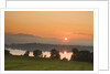 Sunset on Lake Staffelsee by Anonymous