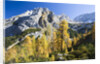 Larch Tree and Mount Zugspitze by Anonymous