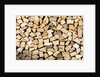 Stacked Firewood by Anonymous