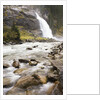 Krimmler Waterfall and River by Anonymous