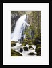 Golling Waterfall in Autumn by Anonymous